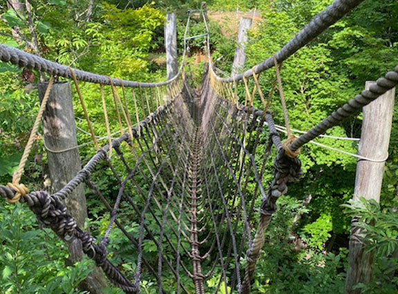 つり橋